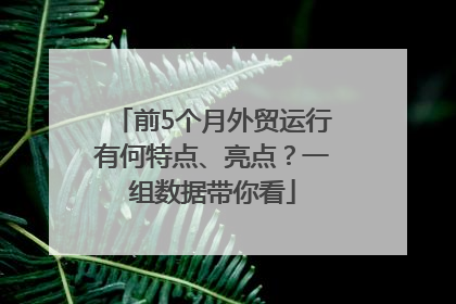 前5个月外贸运行有何特点、亮点？一组数据带你看