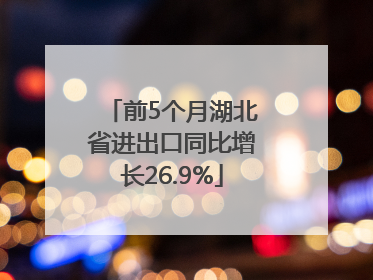 前5个月湖北省进出口同比增长26.9%
