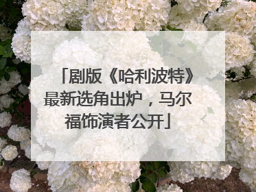 剧版《哈利波特》最新选角出炉，马尔福饰演者公开