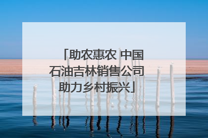 助农惠农 中国石油吉林销售公司助力乡村振兴