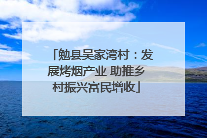 勉县吴家湾村：发展烤烟产业 助推乡村振兴富民增收