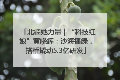 北疆她力量｜“科技红娘”黄晓辉：沙海播绿，搭桥撬动5.3亿研发