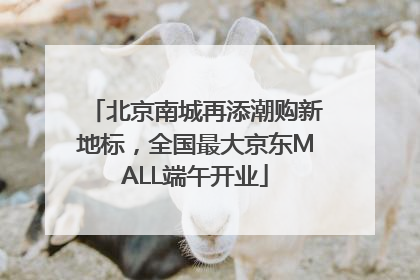 北京南城再添潮购新地标，全国最大京东MALL端午开业