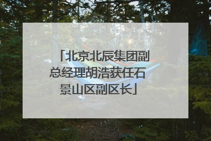 北京北辰集团副总经理胡浩获任石景山区副区长