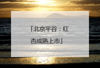 北京平谷：红杏成熟上市
