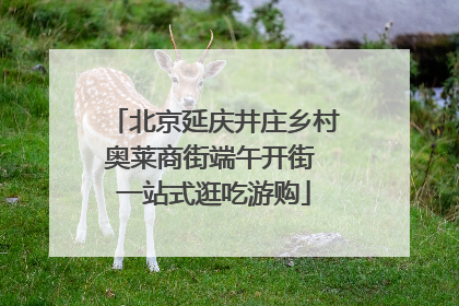 北京延庆井庄乡村奥莱商街端午开街 一站式逛吃游购
