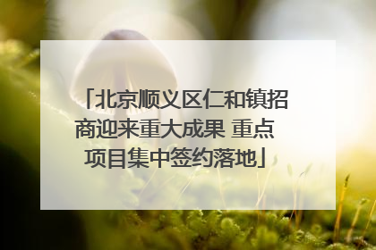 北京顺义区仁和镇招商迎来重大成果 重点项目集中签约落地
