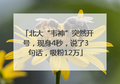 北大“韦神”突然开号，现身4秒，说了3句话，吸粉12万