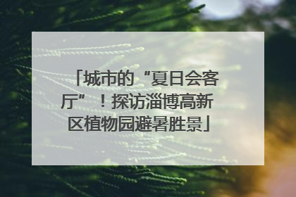 城市的“夏日会客厅”！探访淄博高新区植物园避暑胜景
