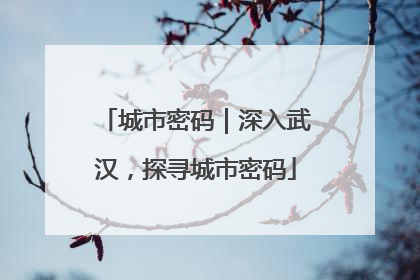 城市密码｜深入武汉，探寻城市密码