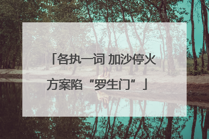 各执一词 加沙停火方案陷“罗生门”