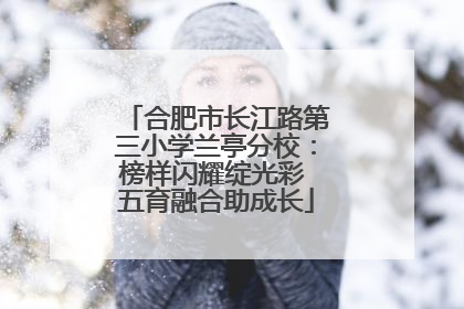 合肥市长江路第三小学兰亭分校：榜样闪耀绽光彩 五育融合助成长