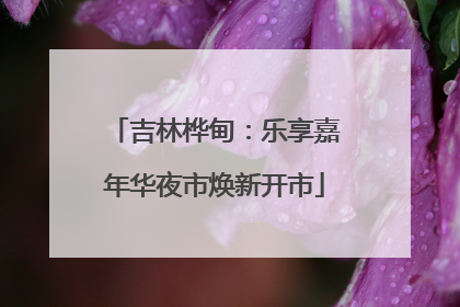 吉林桦甸：乐享嘉年华夜市焕新开市