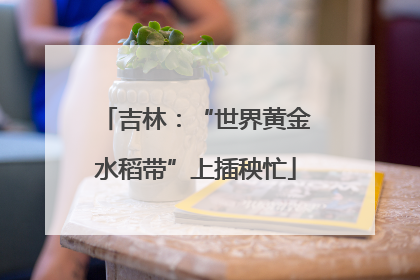 吉林：“世界黄金水稻带”上插秧忙
