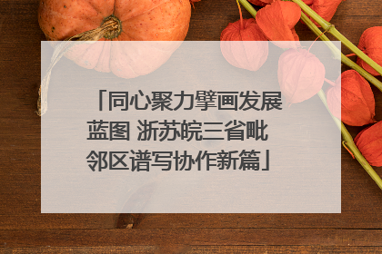 同心聚力擘画发展蓝图 浙苏皖三省毗邻区谱写协作新篇