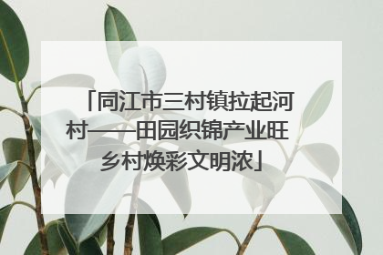同江市三村镇拉起河村——田园织锦产业旺 乡村焕彩文明浓