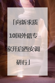 向新求质 10国外籍专家开启西安调研行