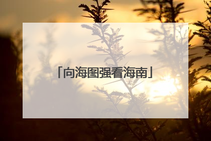 向海图强看海南