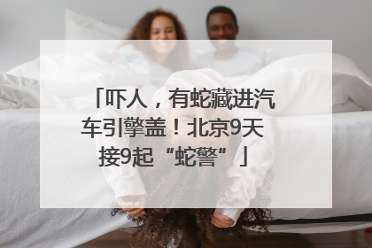 吓人，有蛇藏进汽车引擎盖！北京9天接9起“蛇警”