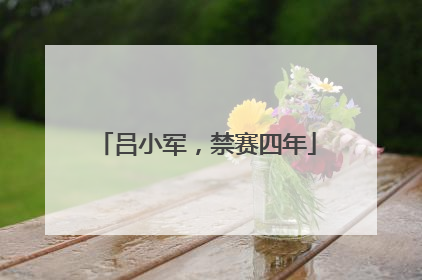 吕小军，禁赛四年