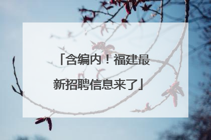 含编内！福建最新招聘信息来了