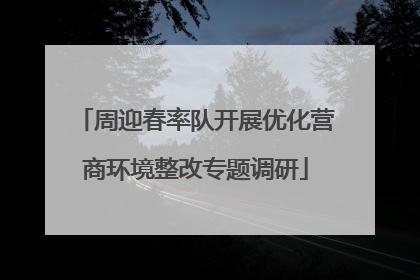 周迎春率队开展优化营商环境整改专题调研