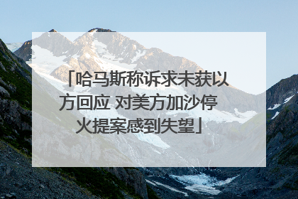 哈马斯称诉求未获以方回应 对美方加沙停火提案感到失望