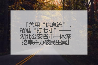善用“信息流”，精准“打七寸”——湖北公安省市一体深挖串并力破民生案