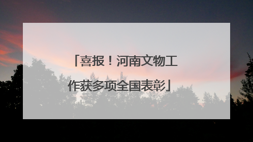 喜报！河南文物工作获多项全国表彰