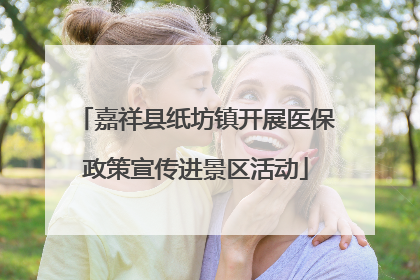 嘉祥县纸坊镇开展医保政策宣传进景区活动