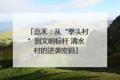 嘉禾：从“拳头村”到文明标杆 清水村的逆袭密码
