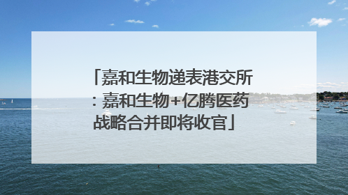 嘉和生物递表港交所：嘉和生物+亿腾医药战略合并即将收官