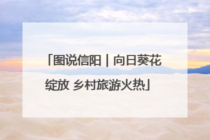 图说信阳｜向日葵花绽放 乡村旅游火热