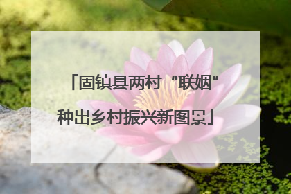 固镇县两村“联姻”种出乡村振兴新图景