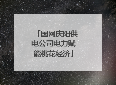 国网庆阳供电公司电力赋能桃花经济