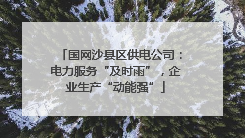 国网沙县区供电公司：电力服务“及时雨”，企业生产“动能强”