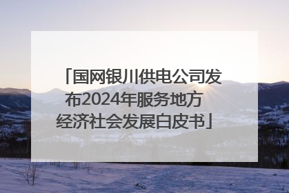 国网银川供电公司发布2024年服务地方经济社会发展白皮书