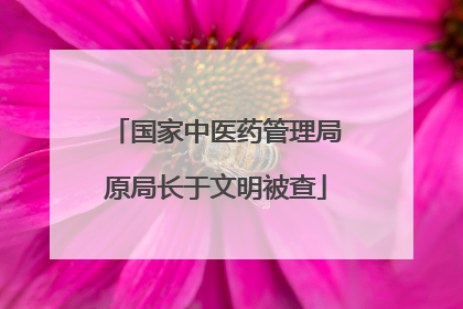 国家中医药管理局原局长于文明被查