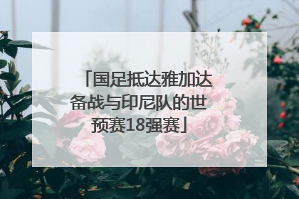 国足抵达雅加达备战与印尼队的世预赛18强赛