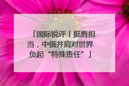国际锐评丨挺膺担当，中俄并肩对世界负起“特殊责任”