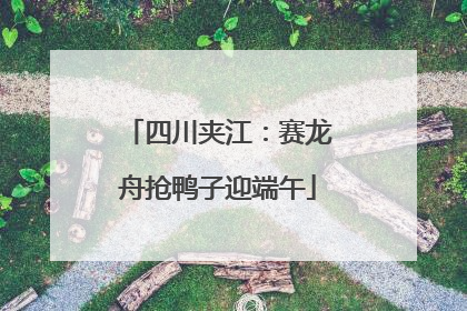 四川夹江：赛龙舟抢鸭子迎端午