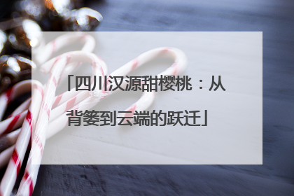 四川汉源甜樱桃：从背篓到云端的跃迁