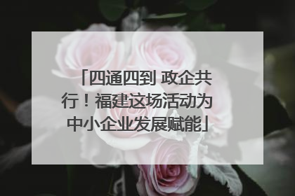四通四到 政企共行！福建这场活动为中小企业发展赋能