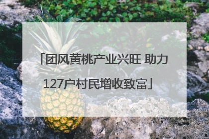 团风黄桃产业兴旺 助力127户村民增收致富