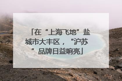 在“上海飞地”盐城市大丰区，“沪苏”品牌日益响亮