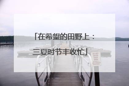 在希望的田野上：三夏时节丰收忙