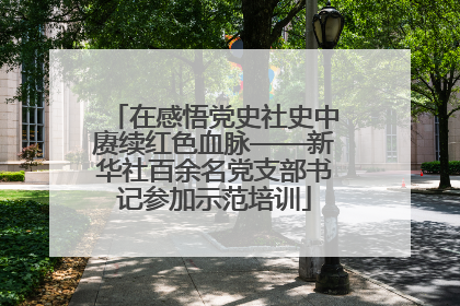 在感悟党史社史中赓续红色血脉——新华社百余名党支部书记参加示范培训