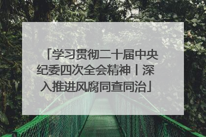 学习贯彻二十届中央纪委四次全会精神丨深入推进风腐同查同治