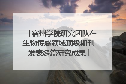 宿州学院研究团队在生物传感领域顶级期刊发表多篇研究成果