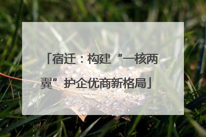 宿迁：构建“一核两翼”护企优商新格局